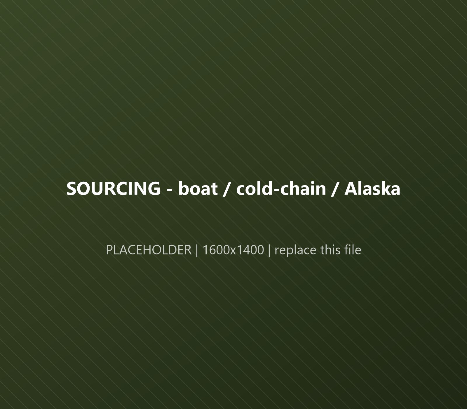 Sockeye salmon being landed from an Alaskan fishing boat