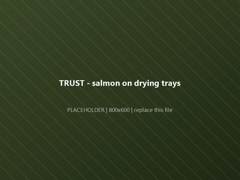 Trays of sliced salmon prepared for freeze-drying