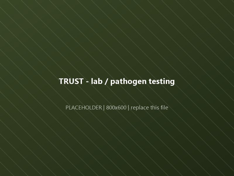 Laboratory technician testing a product sample